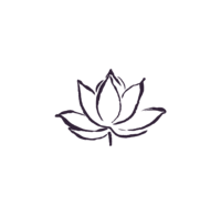 Hand drawn illustration of a lotus flower.