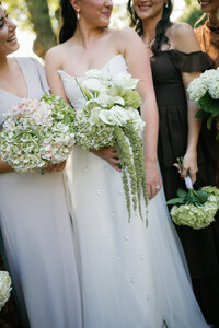 normal film photographer