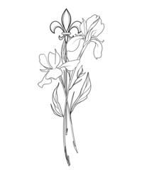 fleur de lis PNG