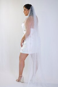 The Luci Veil with Pearls