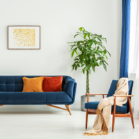 Blue couch sofa with brown accent chair with indoor plant in the corner