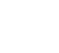 Simple lotus illustration