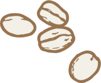 hand illustrated coffee beans