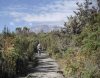 Hiking the Rongai Route up Mt Kilimanjaro in Tanzania