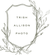 Trish Allison Photography Wedding Engagement Newborn Lifestyle Minneapolis St. Paul Twin Cities Fine Art Light Airy Photographer Trish Burtzel6