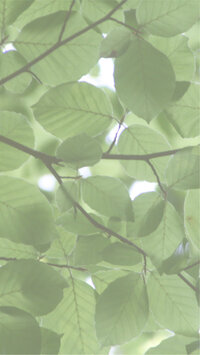 Asset 6-100