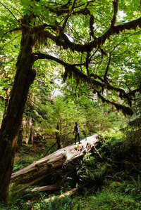 olympic national park elopement-42