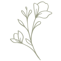Small green flower