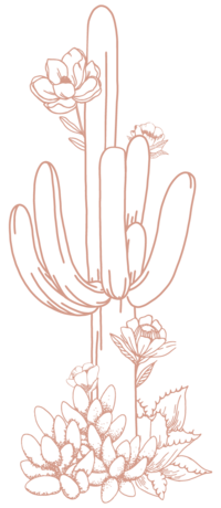 cactus illustration