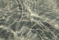 sunlight rippling on shallow ocean surface