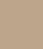 A color swatch for metal used for metal roofing and metal siding from Perry Vinyl Windows & Doors in Hazard, Ky in the color tan