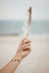 Feather Hand