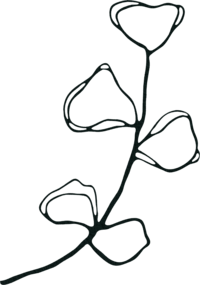 floral doodle
