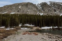 trees and mountains with a floral ceremony