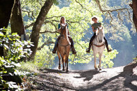 Two people are riding horses on a sunlit forest trail. Sunlight filters through the trees, creating dappled shadows on the path. The ambiance is peaceful and natural, with both riders appearing relaxed and enjoying the ride.
