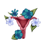 Mom’s Uterus Thing Transparent