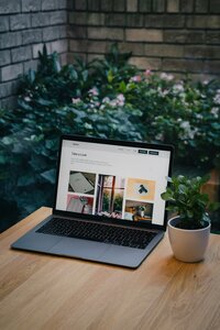 An open laptop on top of a desk with a small plant next to it and more foliage in the background