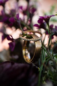 berkshire-elopement-lee-massachusetts-devonfield-inn-wedding-rings