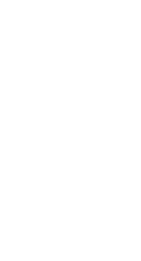 Feathers - White - 22