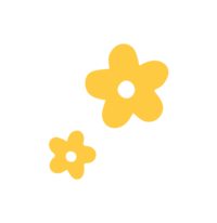 GROWHUNNY-flowers-yellow
