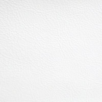 Leather-Standard-Polar