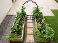 Organic garden designs for the modern gardener 