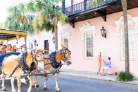 proposal in downtown charleston at mills house