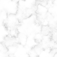 webdesign en branding voor vrouwelijke ondernemers. The Enola Effect