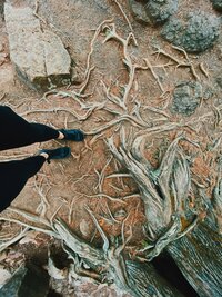 6CF4540B-E48F-48EE-A90E-D67E3E9C593C