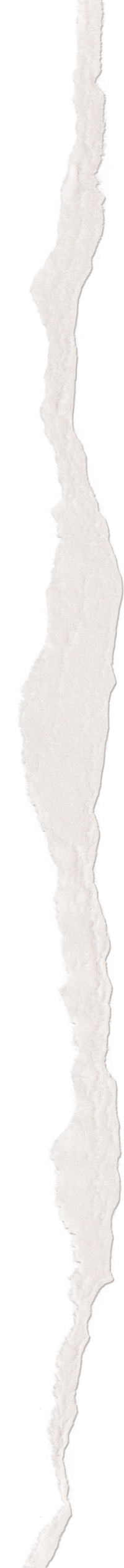 White torn paper illustration