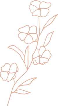 pink illustration of wildflowers