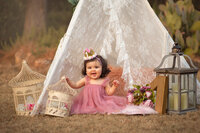 Raleigh family photographer with first birthday cake smash session by Susan VanNess photography