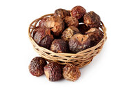 organic soap nuts shampoo