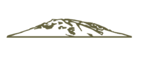 Laelae Development company icon logo Hawaii luxury development