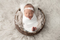 knoxville studio newborn photography