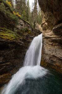 Aubre creating a mood board by collaging photos and color swatches