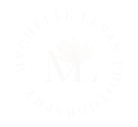Mychelle LeVan Round Logo #fcfaf8 Graphic Teal 300dpi PNG copy