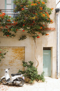 Rustic European doorway with climbing vines in a charming stone village.
