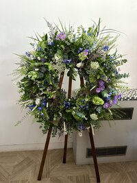 IMG_9126
