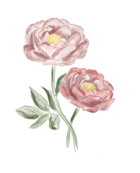 TDC watercolor flower