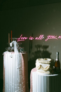 Disco Anti Bride Wedding - Wild Rose Creative Co-22