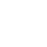 ChickenM5-LARGE