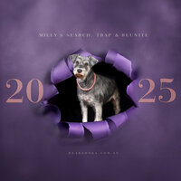 Milly's Search, Trap & Reunite, a calendar fundraiser for Milly's Star