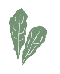 Lettuce Icon