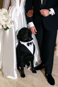 Bride and groom pose with dog at elegant black tie wedding in Detroit, Michigan