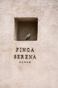 finca serena entrance logo