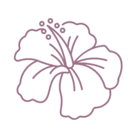 hibiscus icon