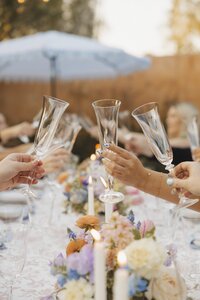 detail shot of wedding guests making a toast at reception in arizona