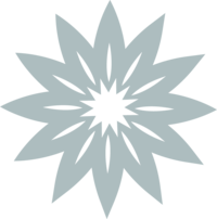 light blue star above a deep blue background above the logo