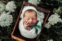 Outdoor newborn summer baby session